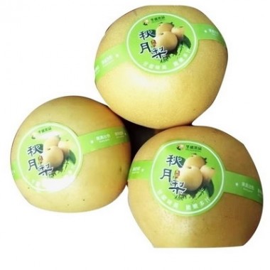 Custom Professional Easily Peel Off Food Grade Safe Plastic Sticker For Fruit Vegetable Packaging Labels