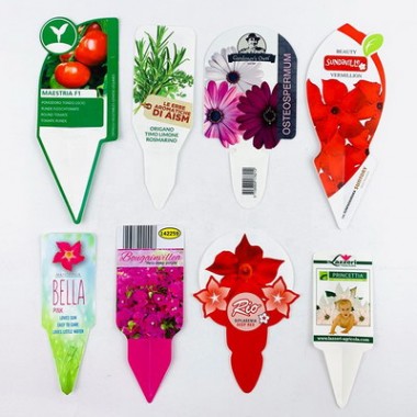 Eco Friendly Custom Printed Colorful Decorative PP Plant Labels For Nursery