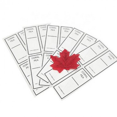 Hot Sale Custom Adhesive Blank Label Rolls Printing Writable Sticker